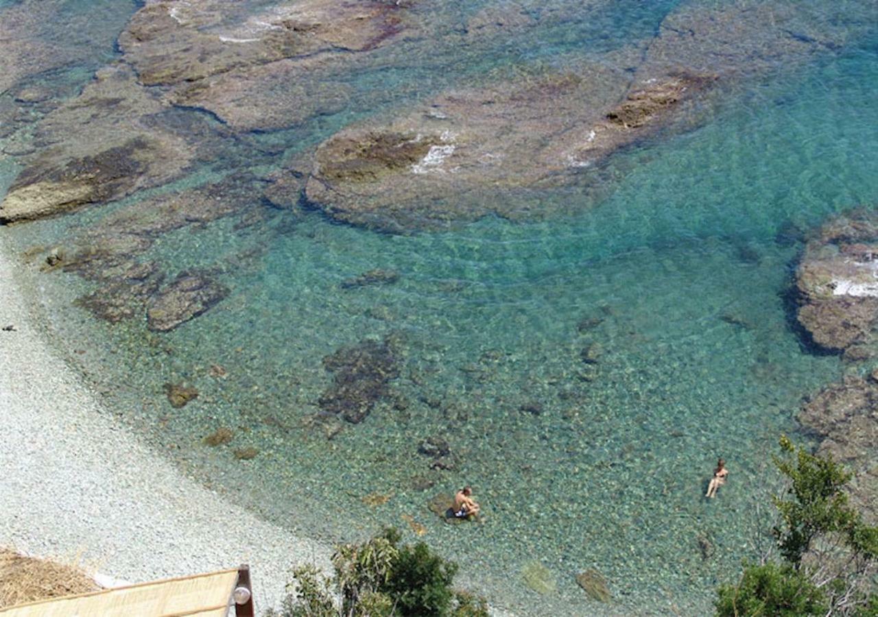 San-Martino-di-LotaVue Exceptionnelle Debut Cap Corse La Pier Noireアパートメント エクステリア 写真