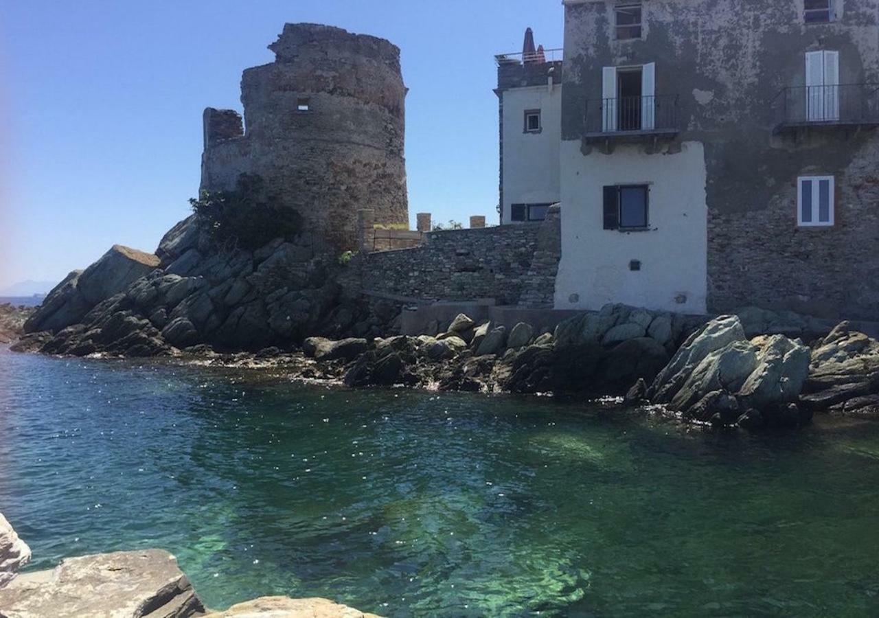 San-Martino-di-LotaVue Exceptionnelle Debut Cap Corse La Pier Noireアパートメント エクステリア 写真